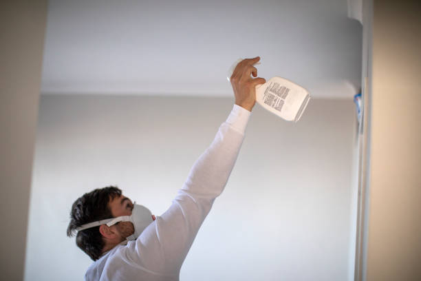 Best Attic Mold Remediation in South Apopka, FL
